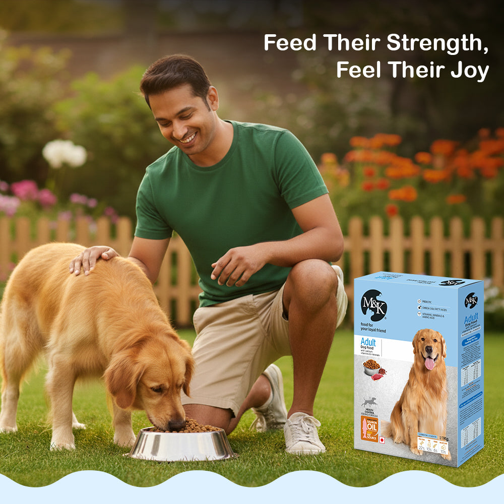 Dry Dog Food  - Adult Dogs (14 months and above) | Chicken Kibbles for Adult Dogs