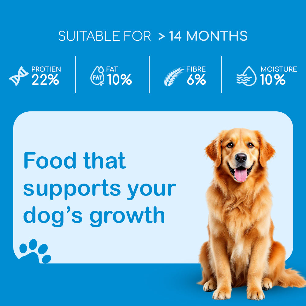 Dry Dog Food  - Adult Dogs (14 months and above) | Chicken Kibbles for Adult Dogs