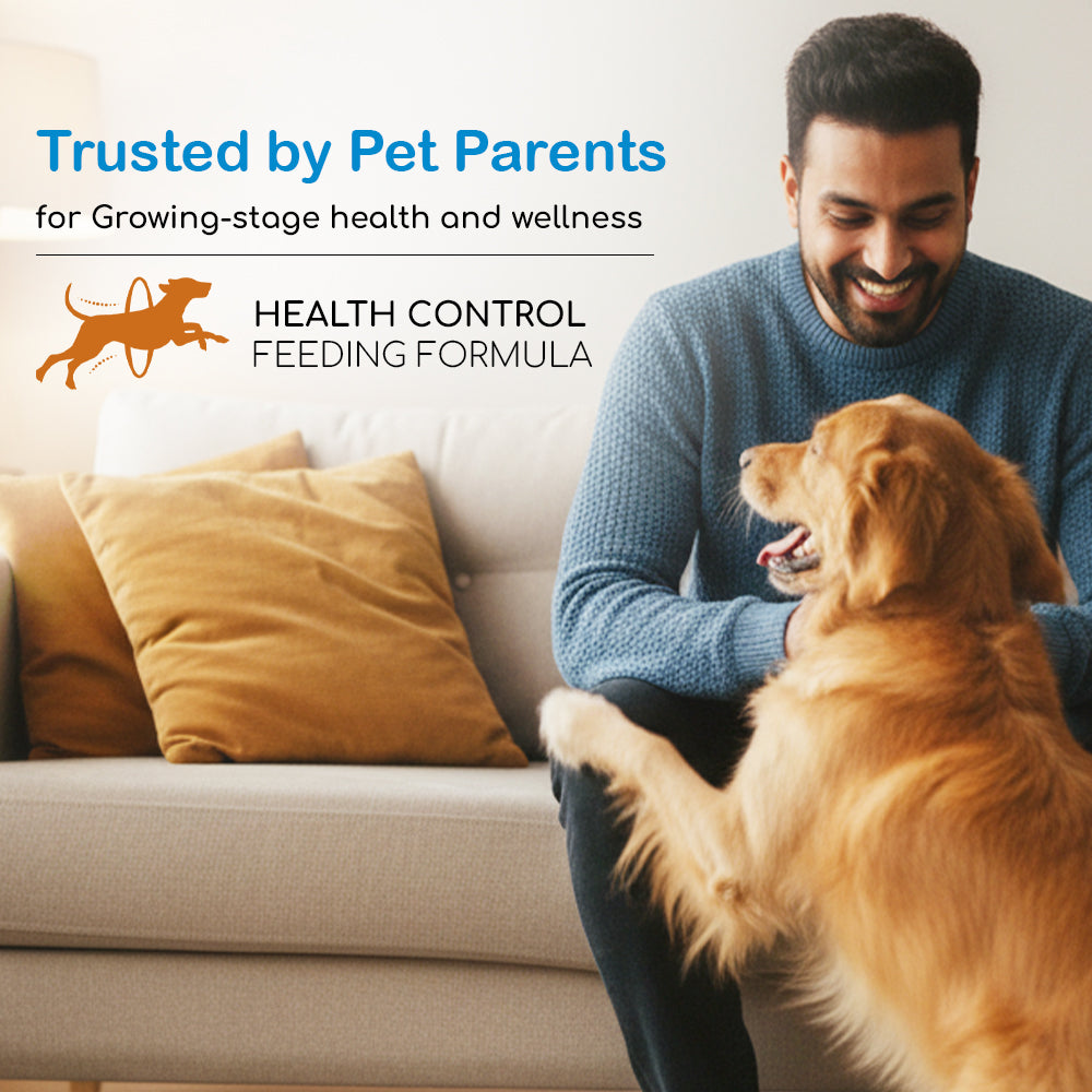 Dry Dog Food  - Adult Dogs (14 months and above) | Chicken Kibbles for Adult Dogs
