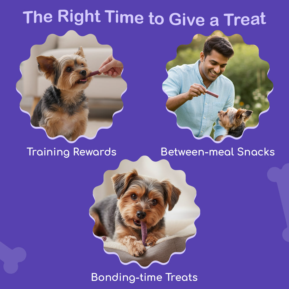 Dog Soft Sticks | Blueberry