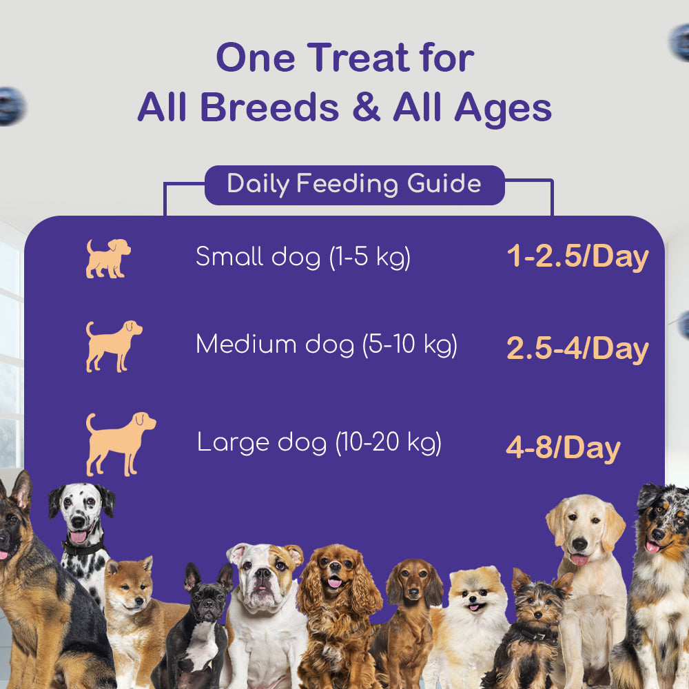 Dog Soft Sticks | Blueberry