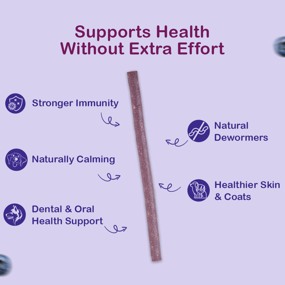 Dog Soft Sticks | Blueberry