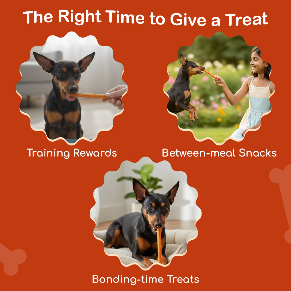 Dog Soft Sticks | Carrot