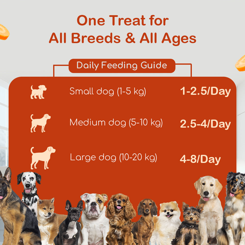 Dog Soft Sticks | Carrot