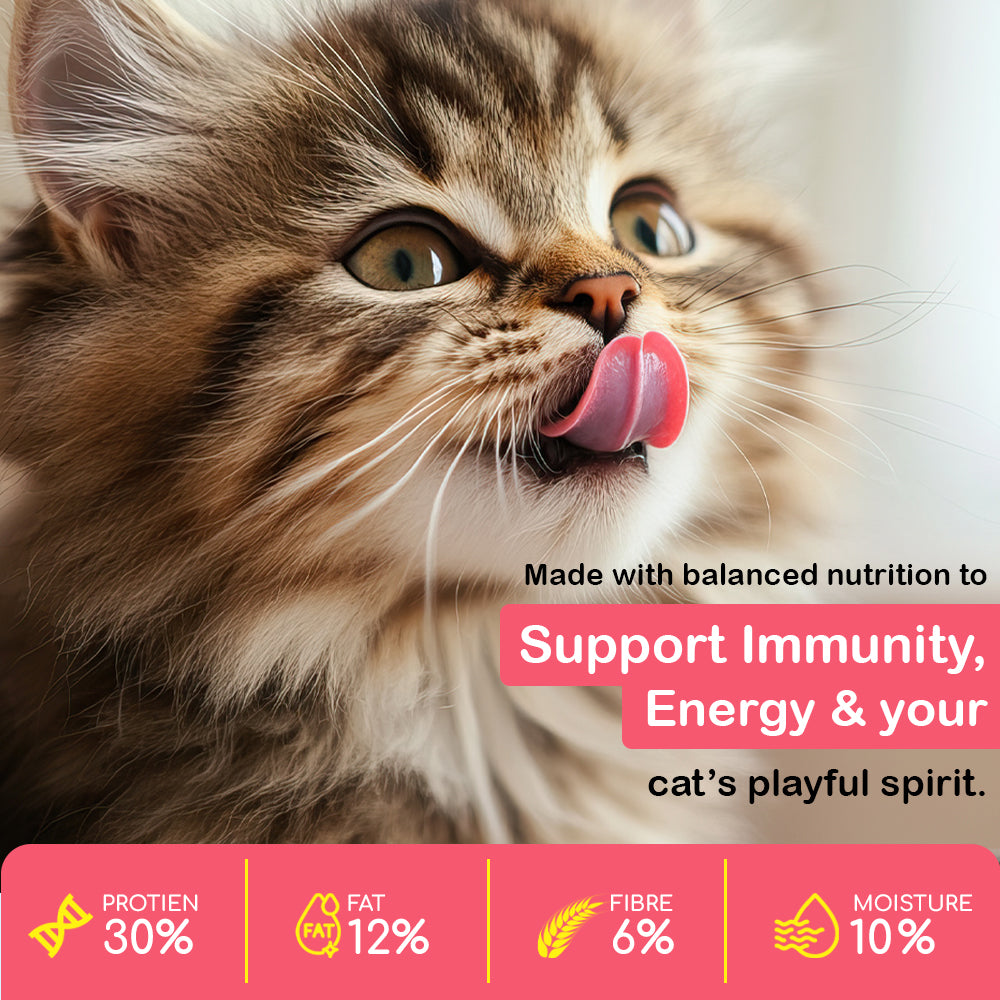 Tasty & Magic Flavour With Calcium Vitamins & Minerals