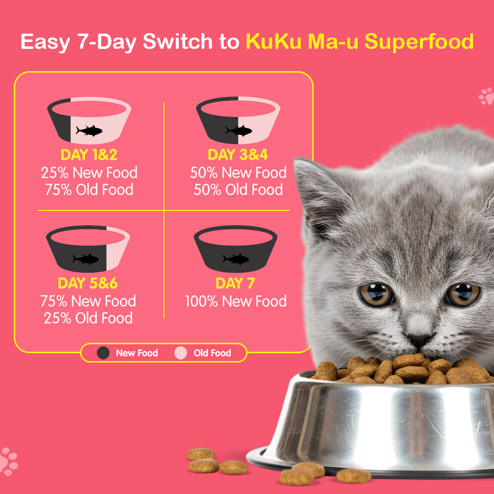 Tasty & Magic Flavour With Calcium Vitamins & Minerals