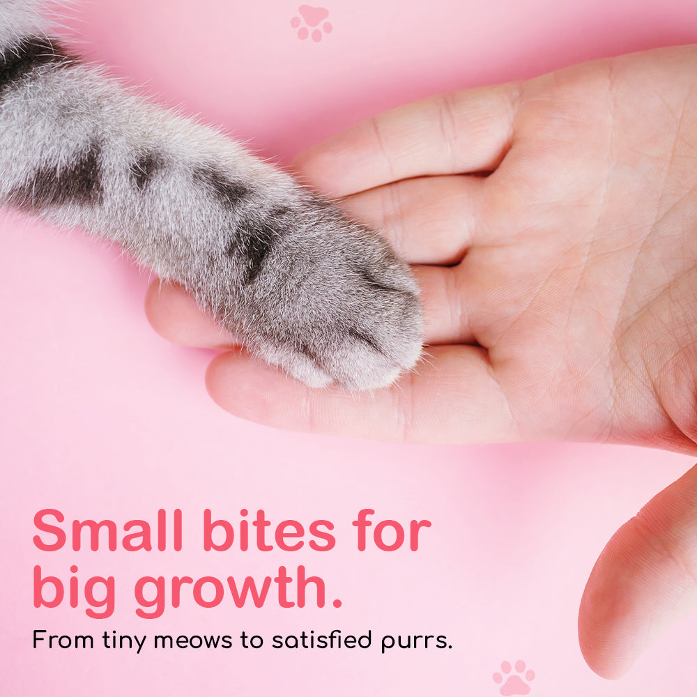 Tasty & Magic Flavour With Calcium Vitamins & Minerals