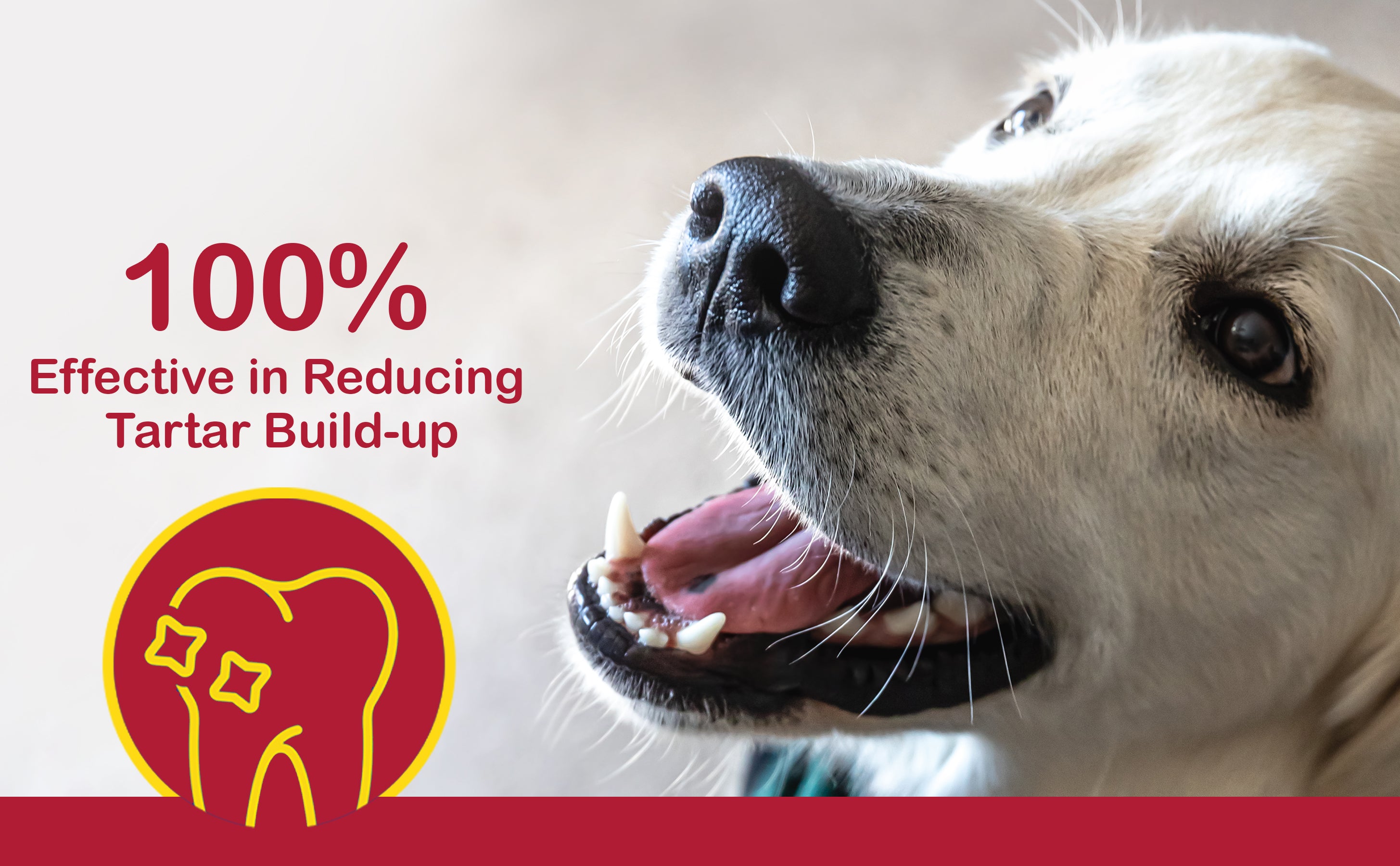 slider image slider_item_cGVLeb