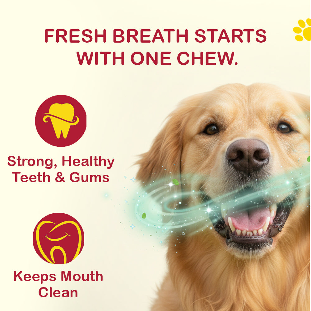 Denta Sticks Chicken