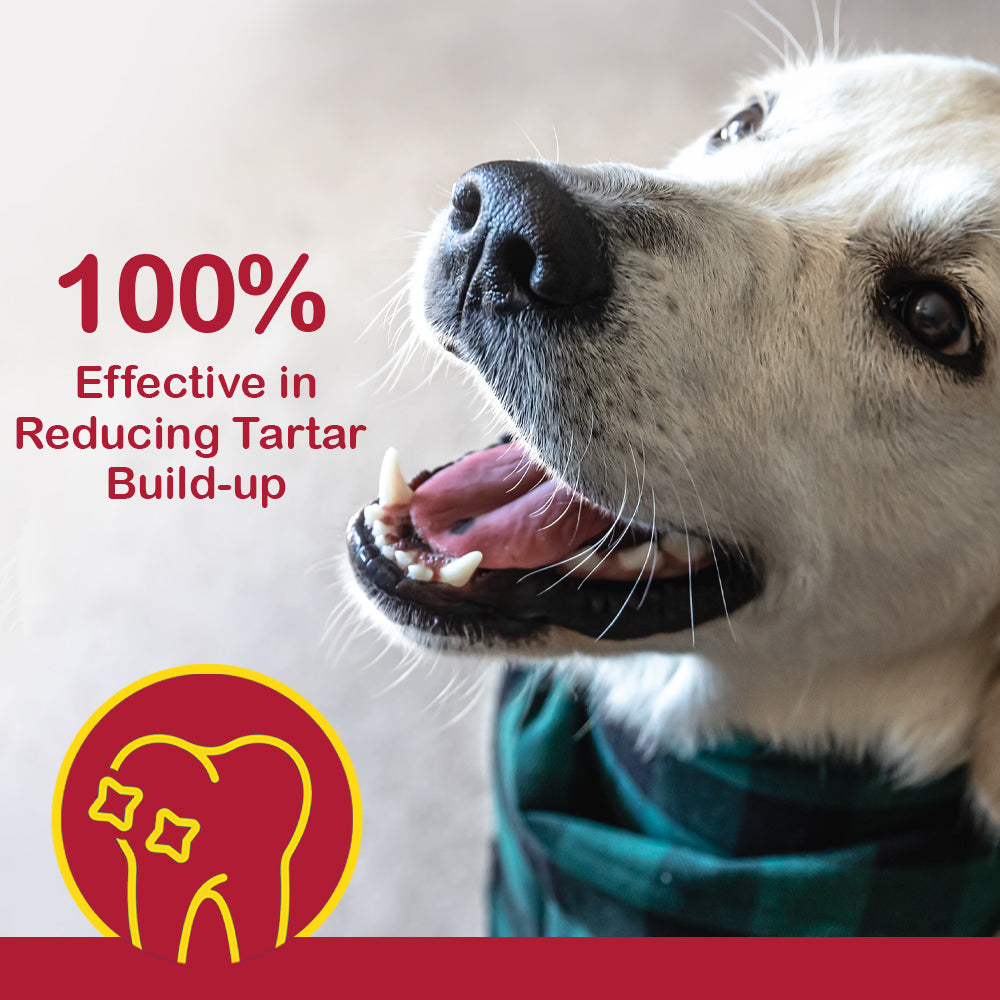 Denta Sticks Chicken