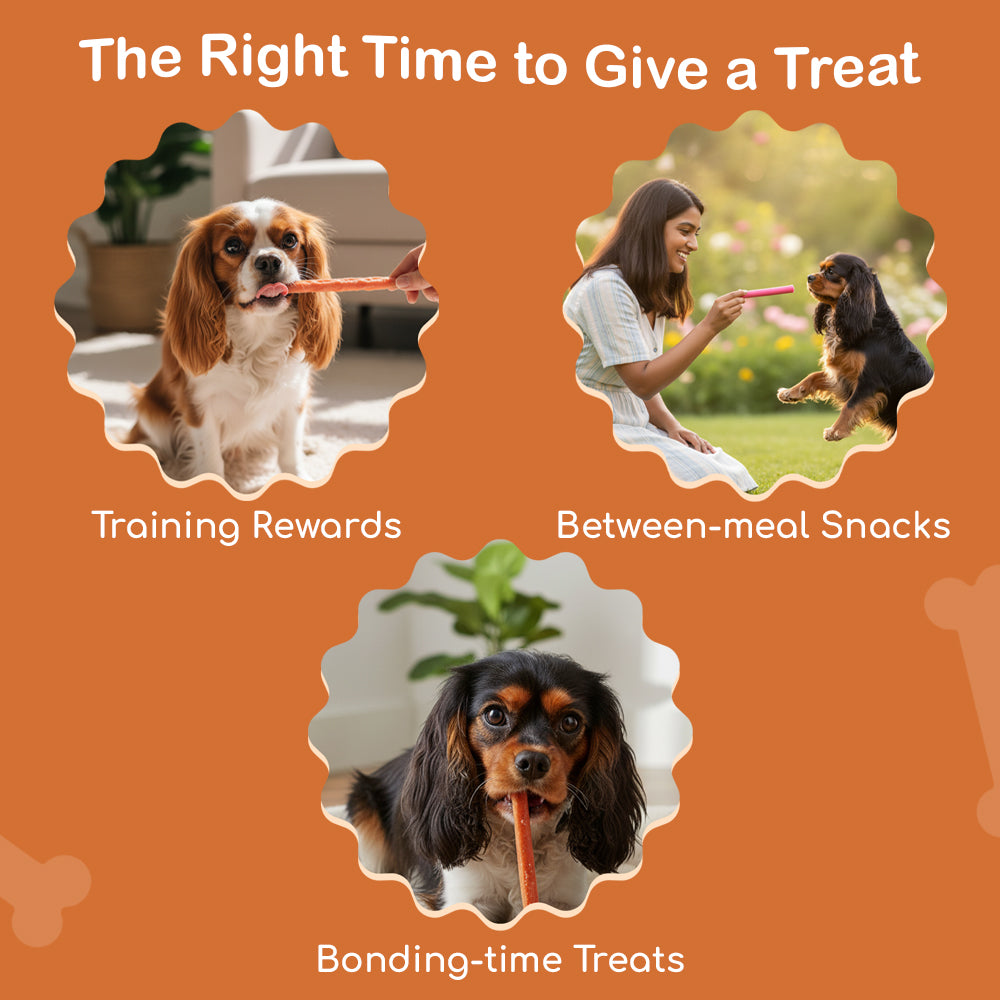 Dog Soft Sticks | Chicken