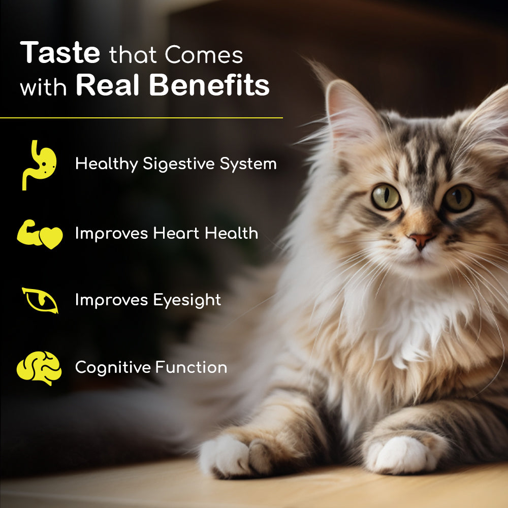 Cream Treat for Cats | Tuna with Chicken & Liver | Rich in Multivitamins