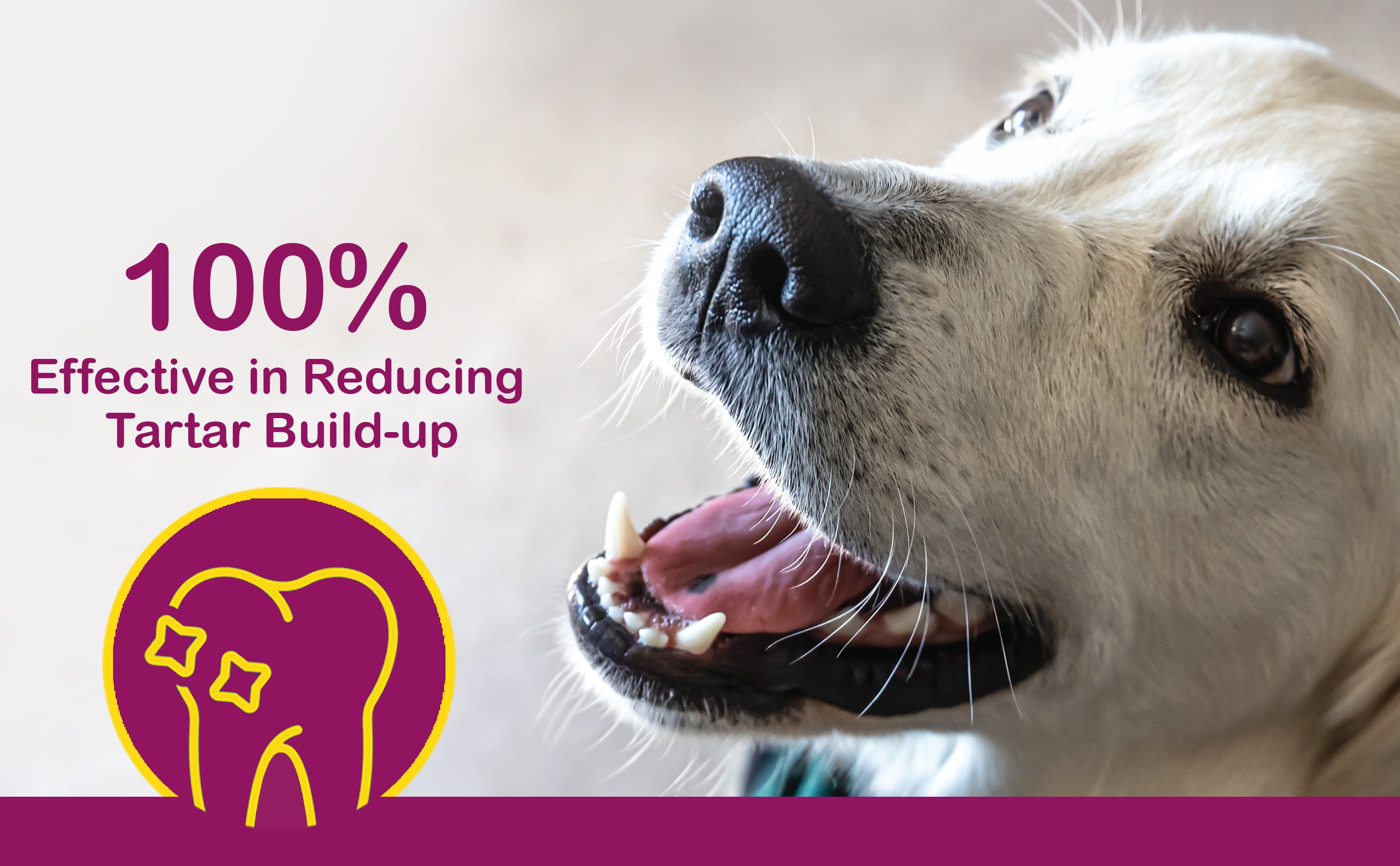 slider image slider_item_cGVLeb