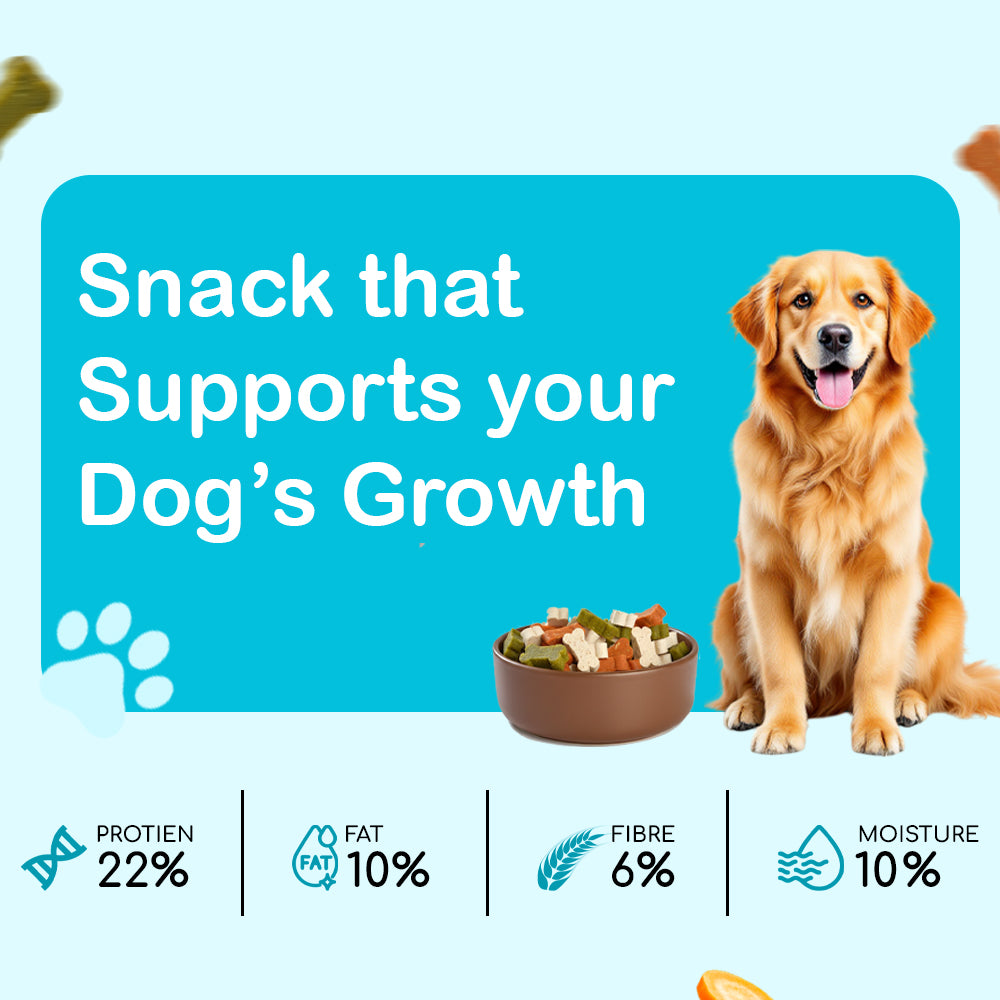 Dog Snacks | Spinach, Carrot & Milk