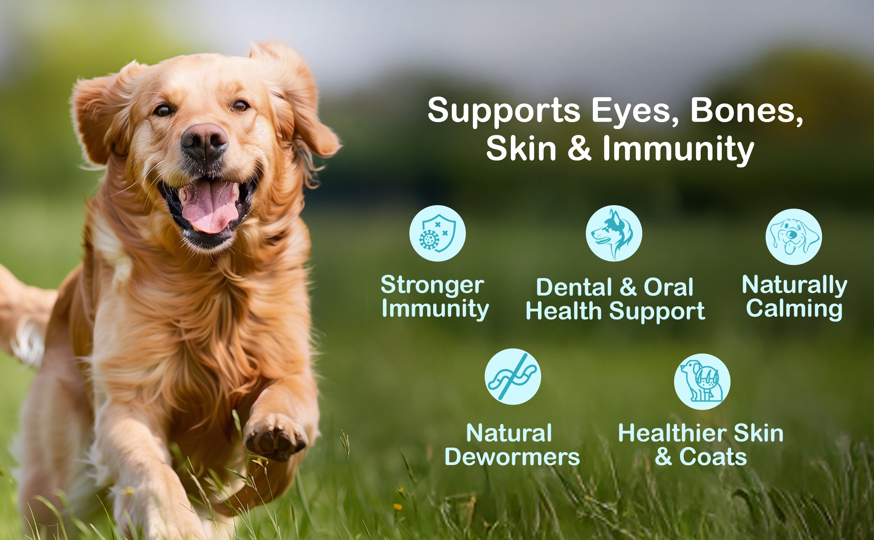 slider image slider_item_cGVLeb