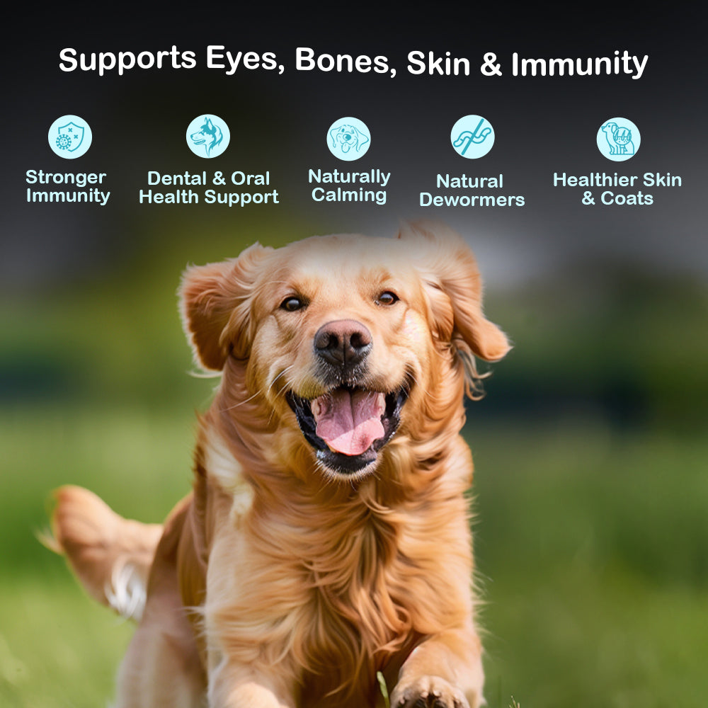 Dog Snacks | Spinach, Carrot & Milk