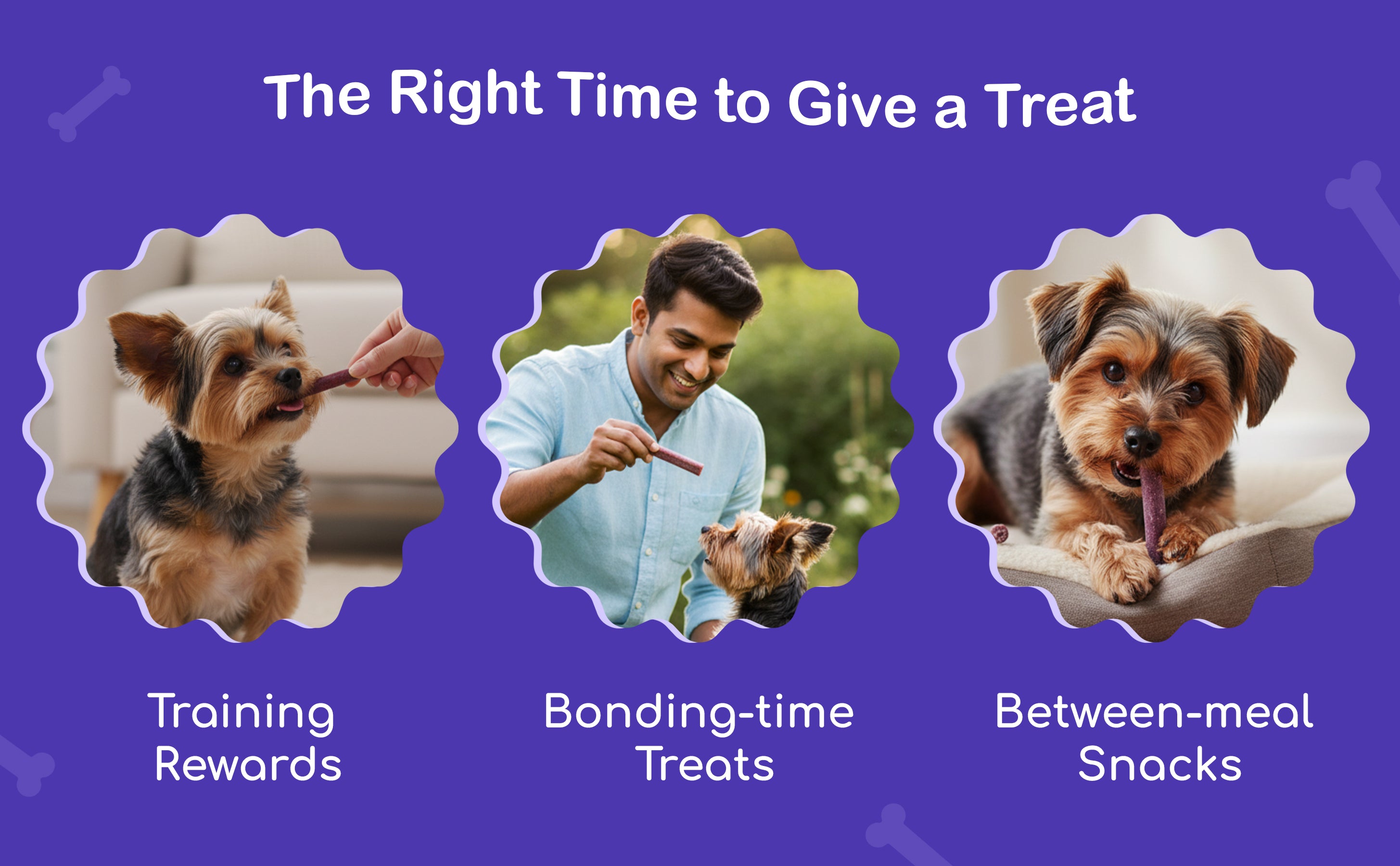 slider image slider_item_tEhCpU