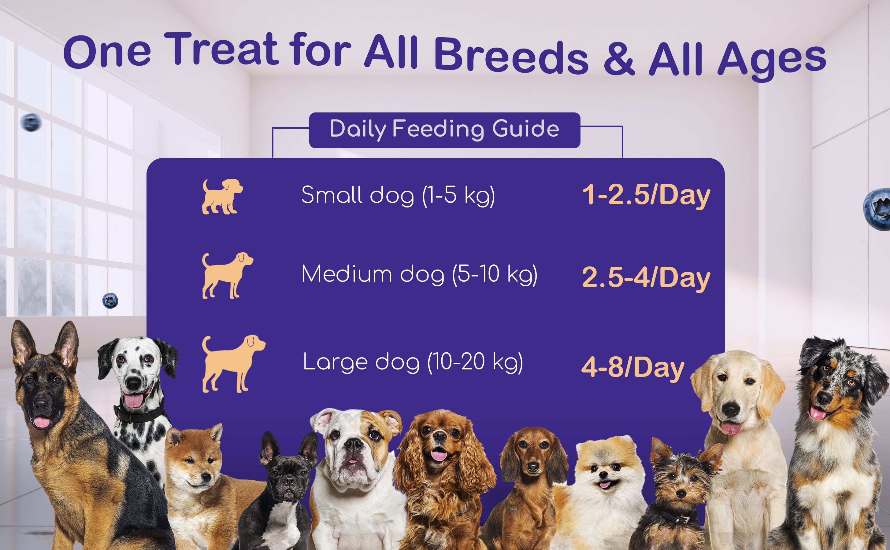 slider image slider_item_cGVLeb