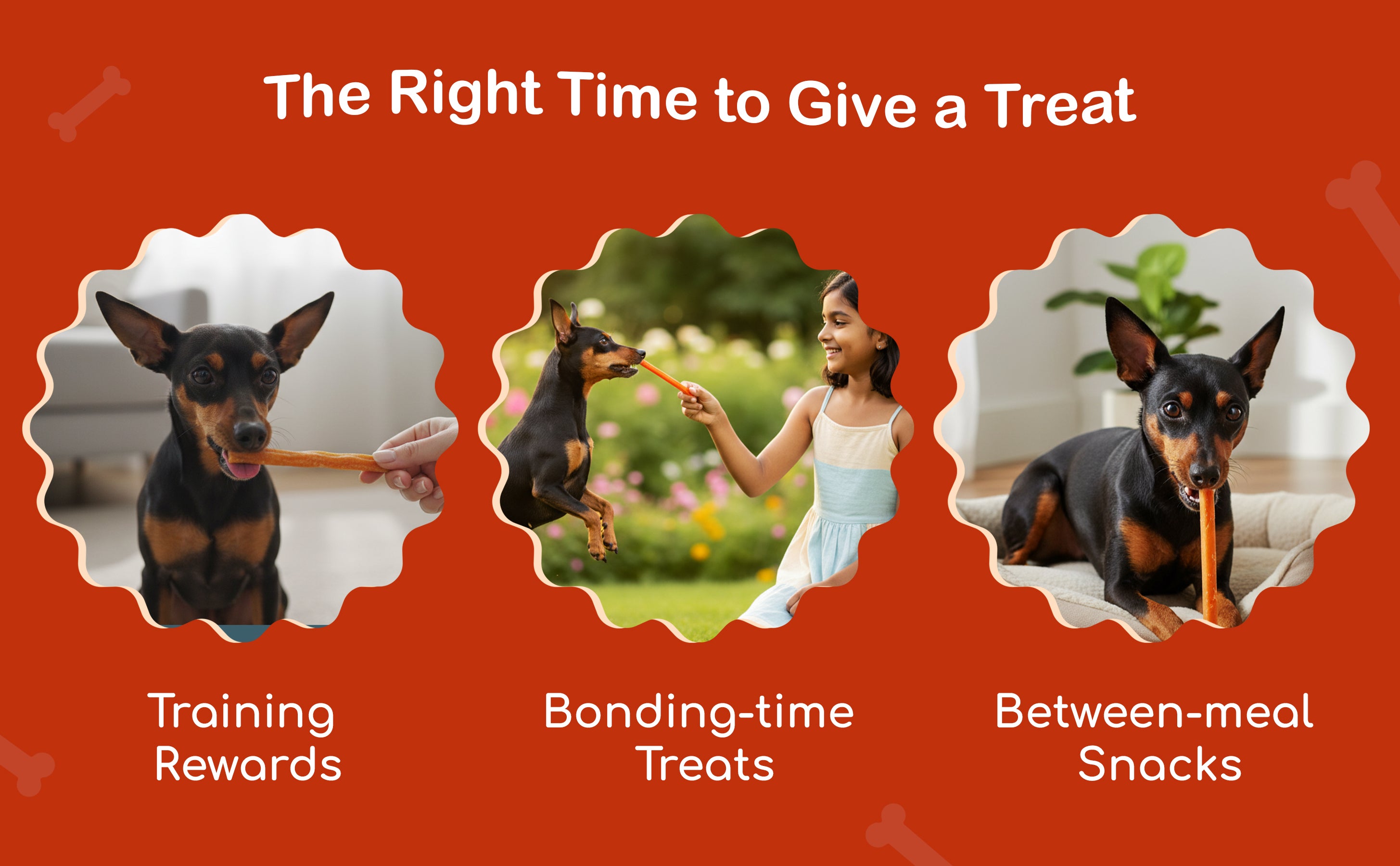 slider image slider_item_tEhCpU