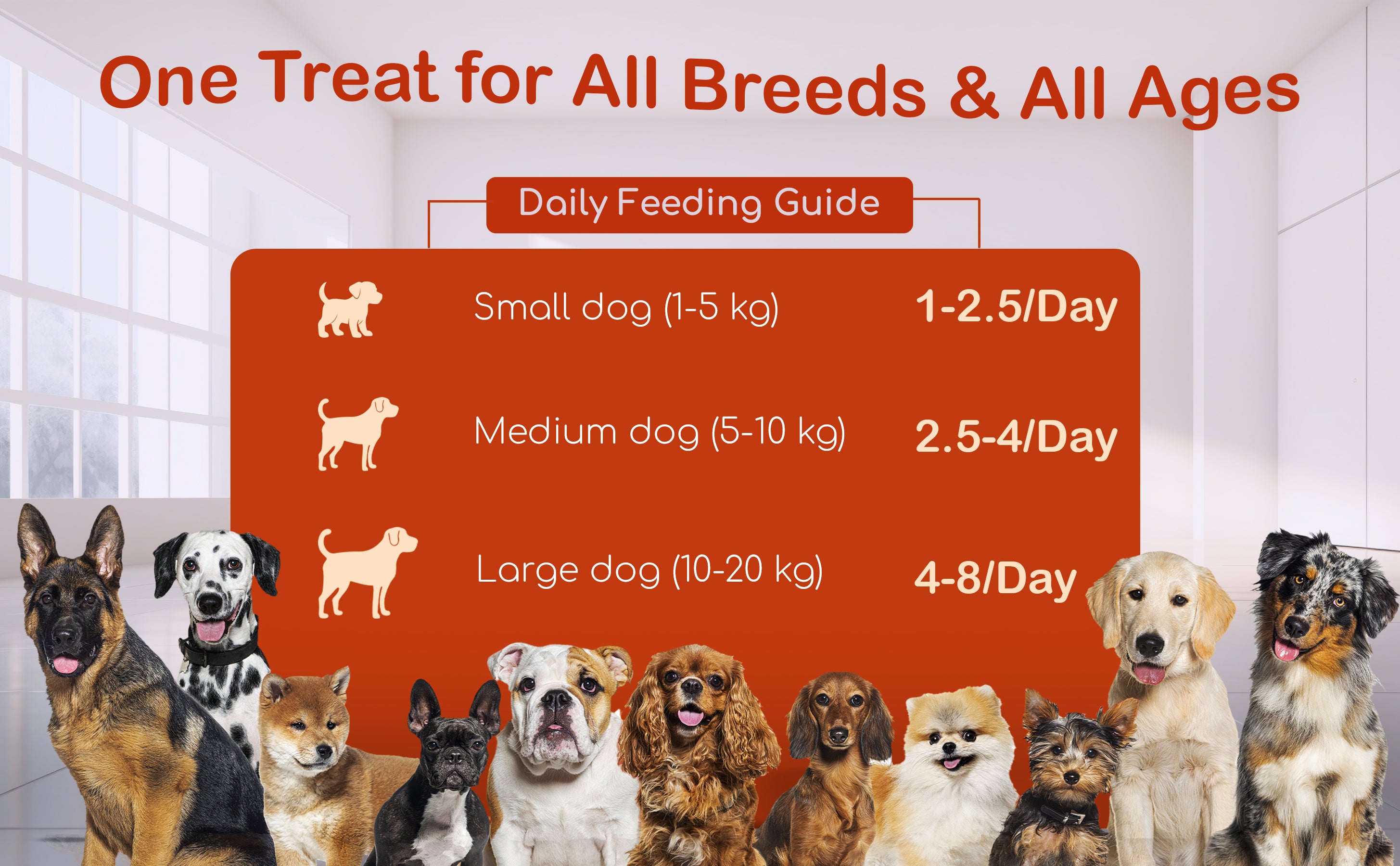 slider image slider_item_cGVLeb