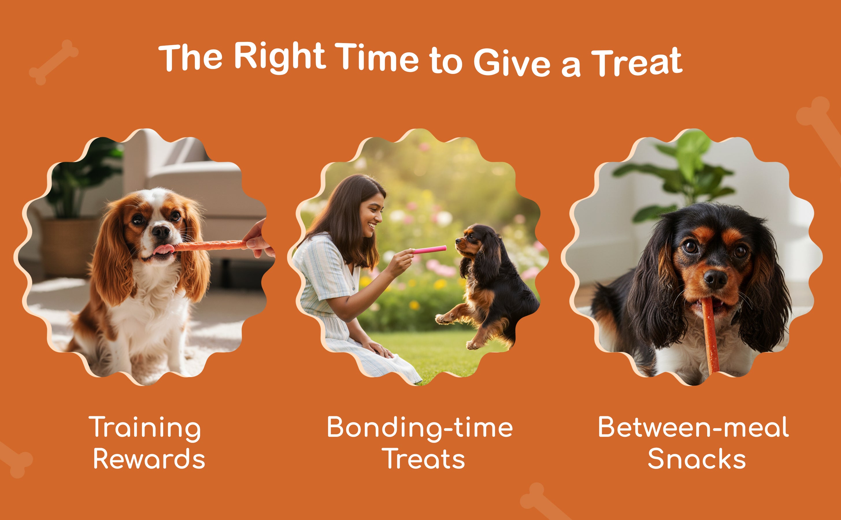 slider image slider_item_EfeCXV