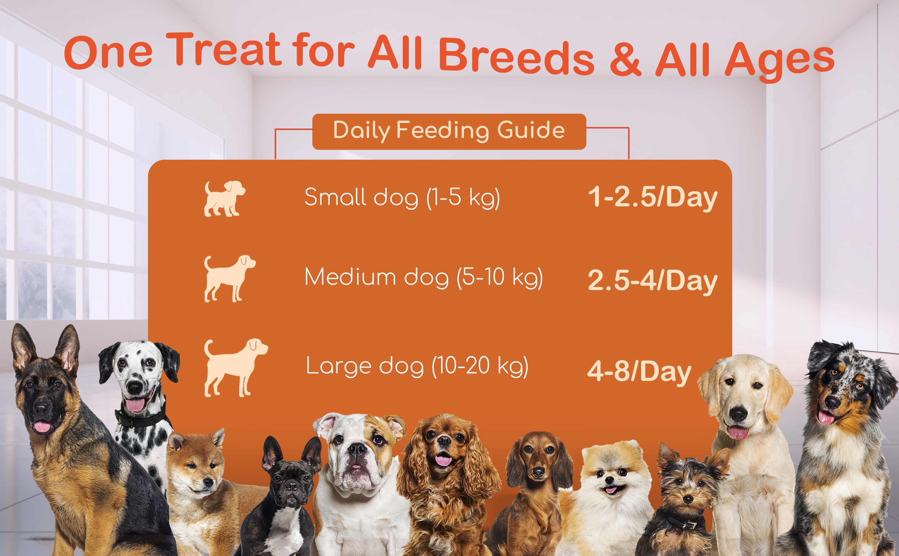 slider image slider_item_z6RJGK