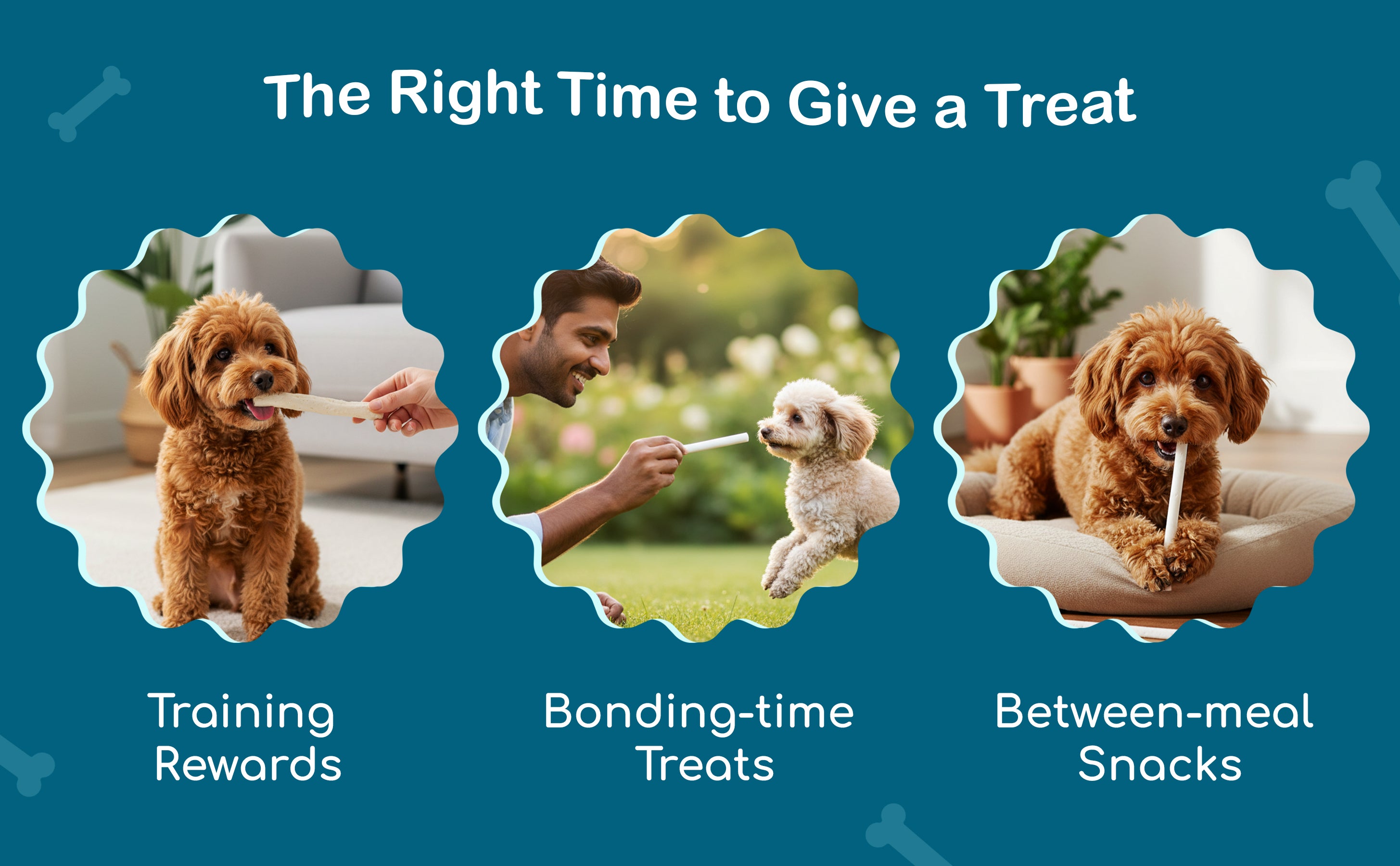 slider image slider_item_tEhCpU