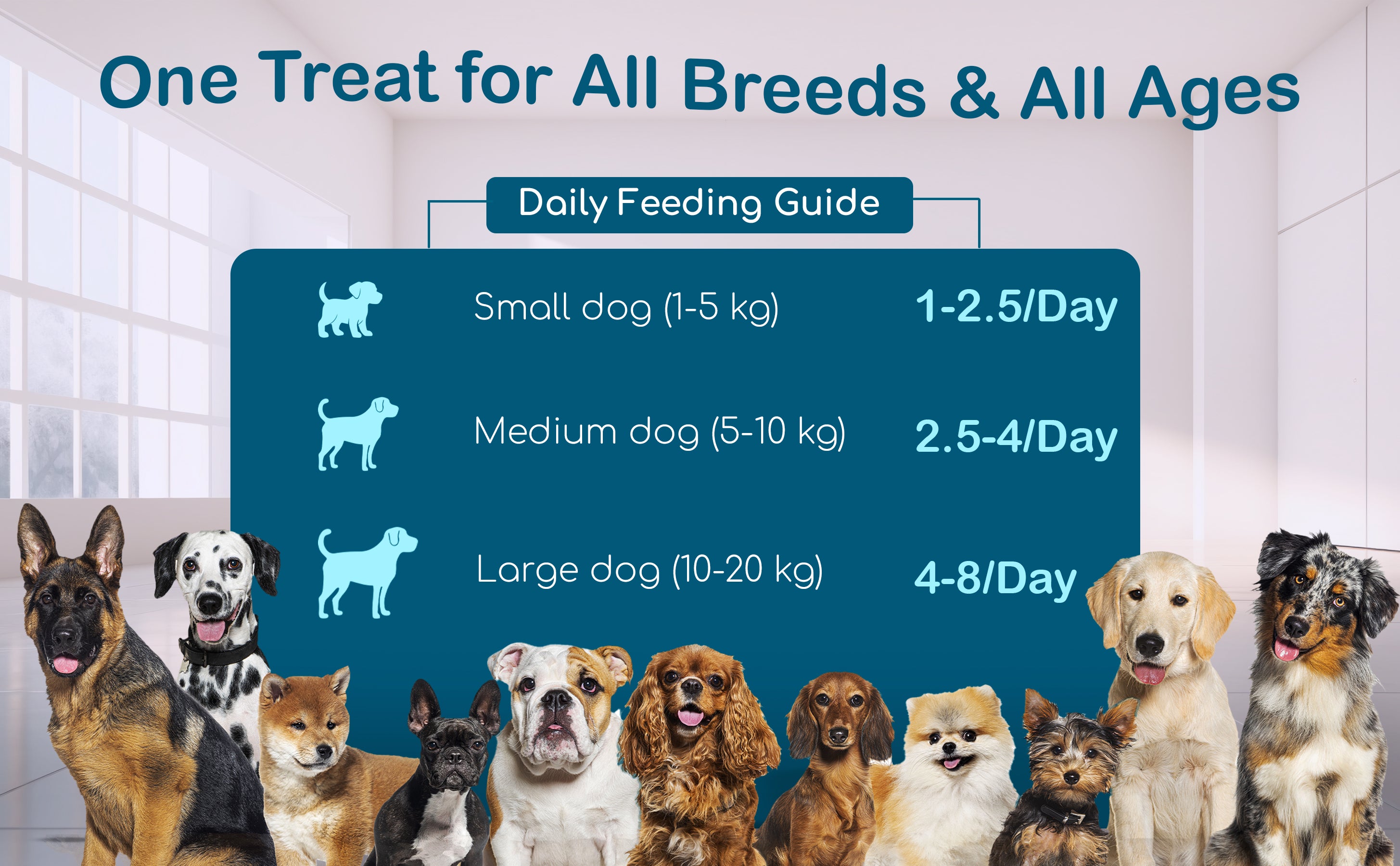 slider image slider_item_cGVLeb