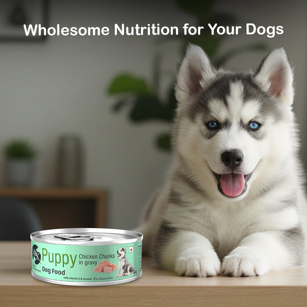 Puppy Wet Food Tin | Chicken Chunks in Gravy