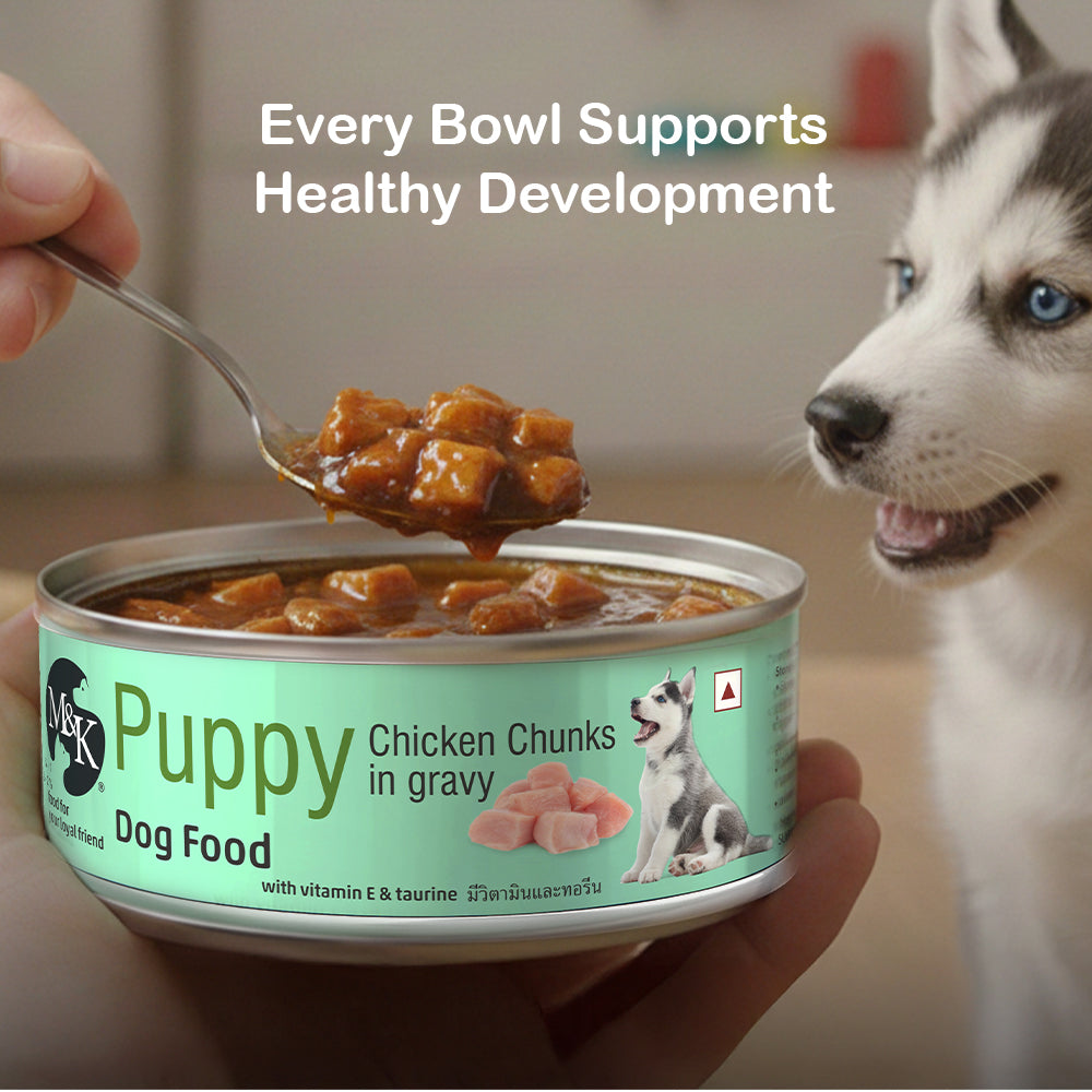 Puppy Wet Food Tin | Chicken Chunks in Gravy