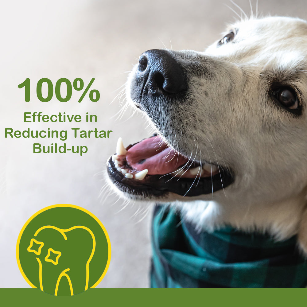Liver Denta Stick | Dental Care Sticks for All Dogs