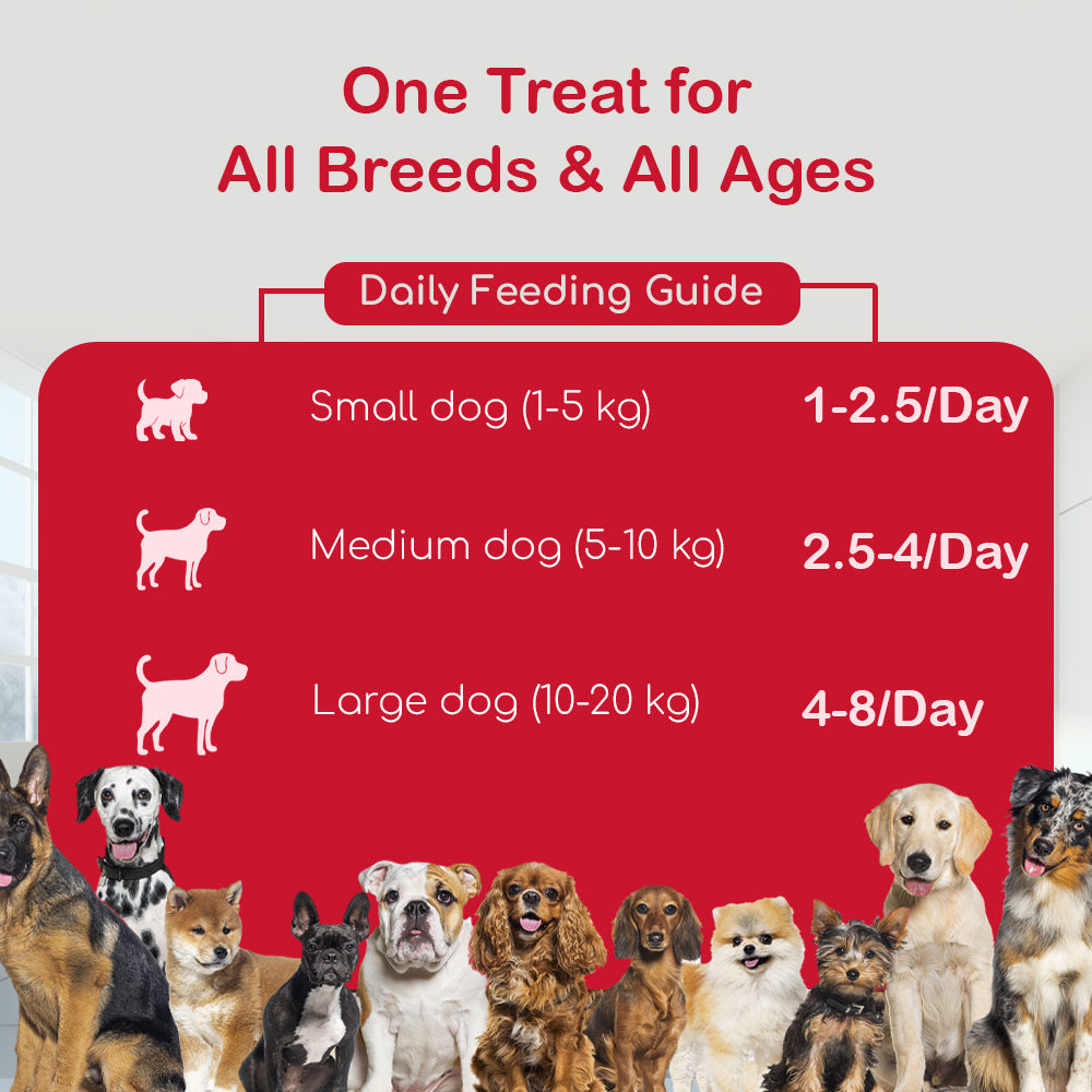 Dog Soft Sticks | Liver