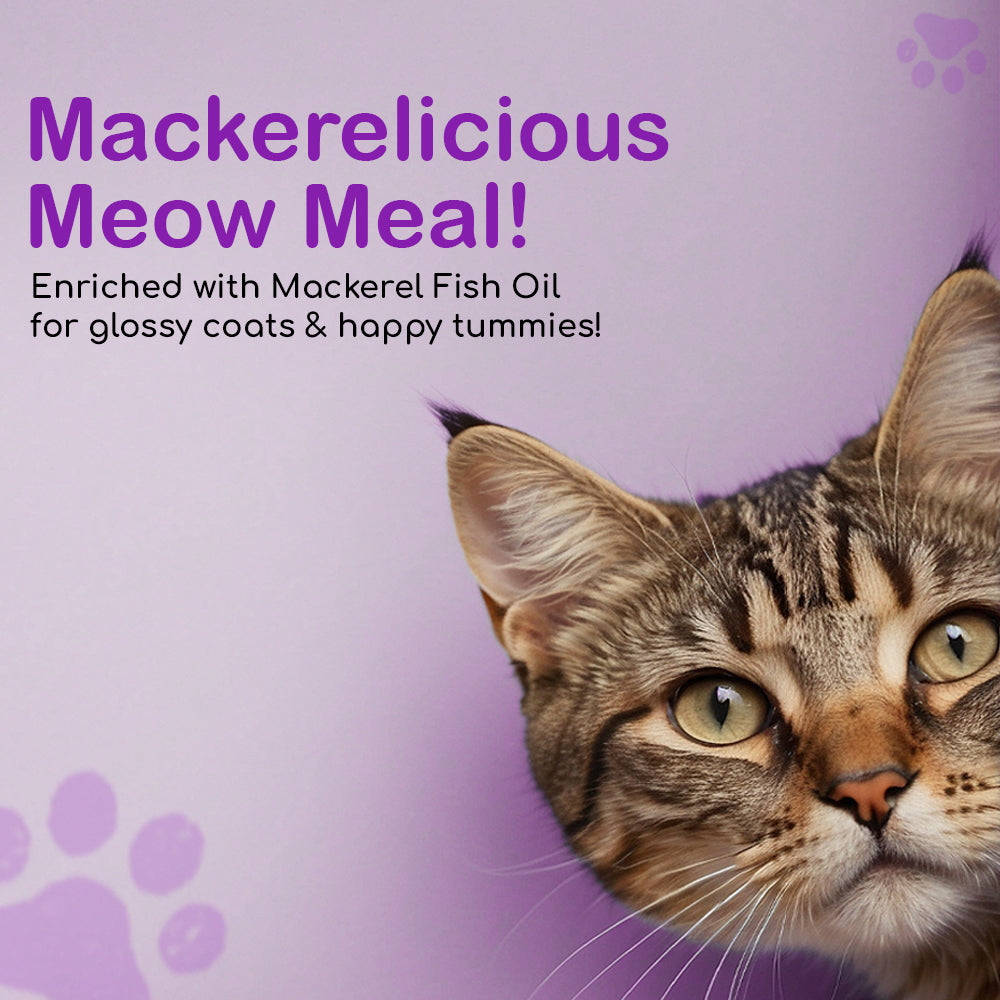 Mackerel Fish Oil With Calcium Vitamins & Minerals