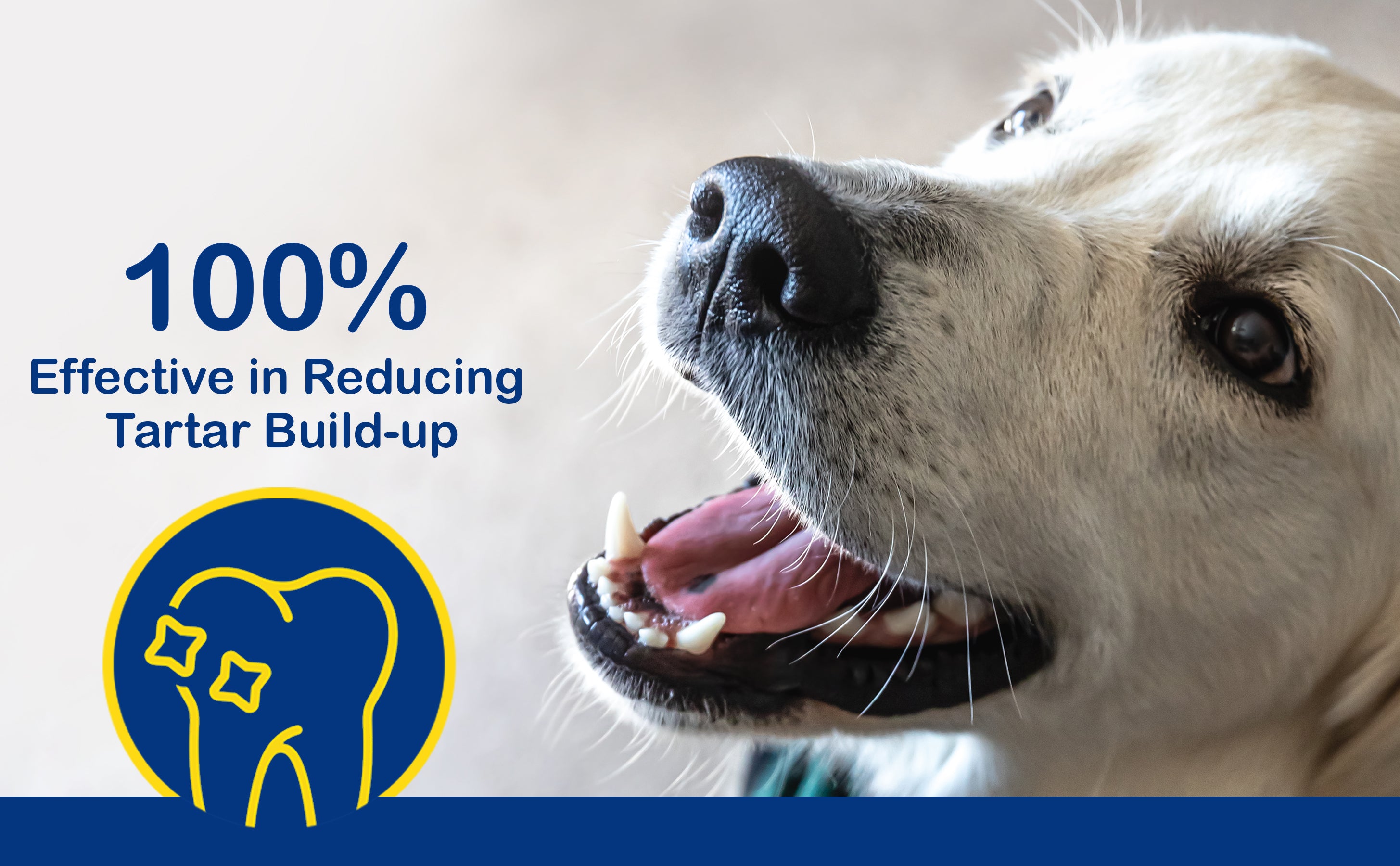 slider image slider_item_cGVLeb