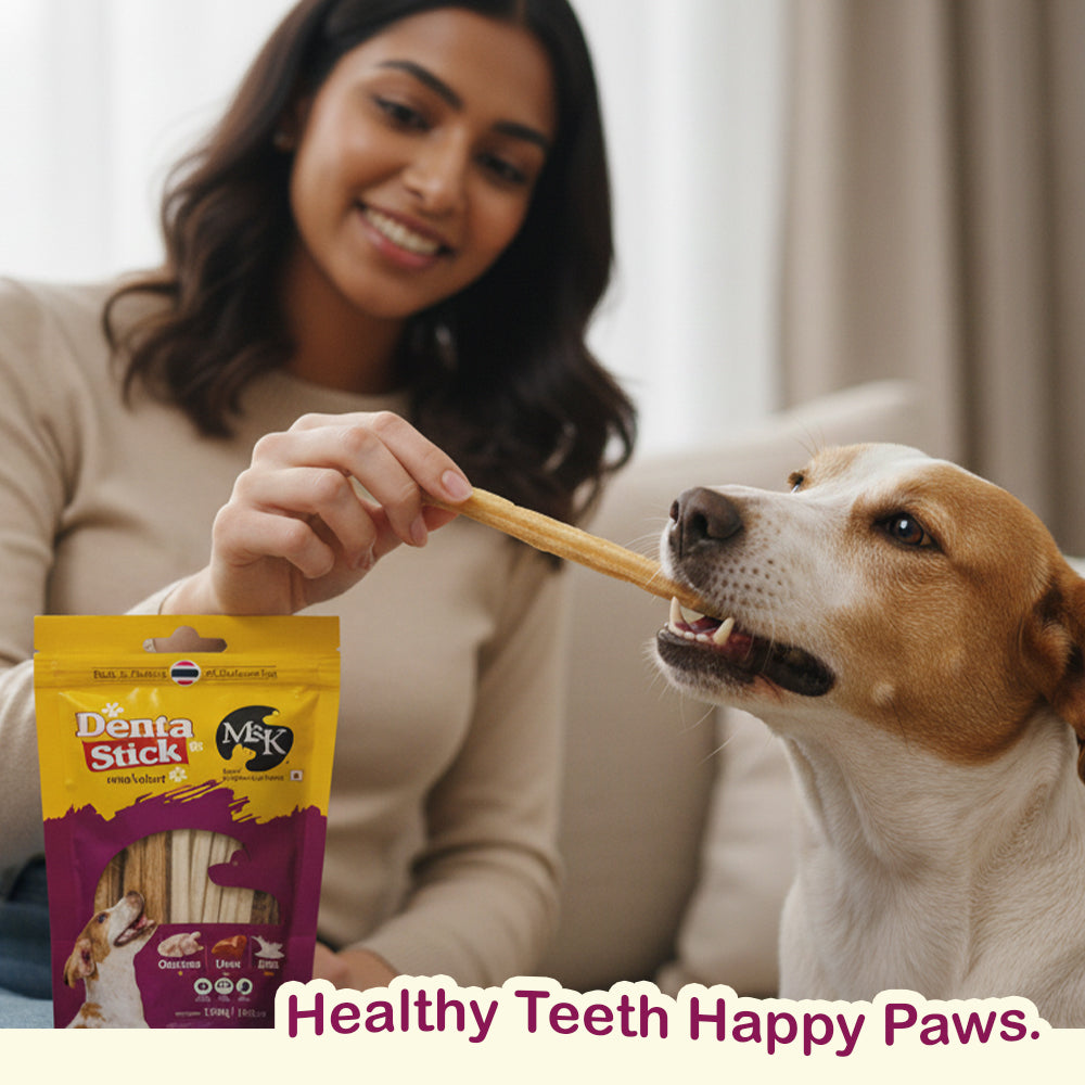 Denta Sticks Mix