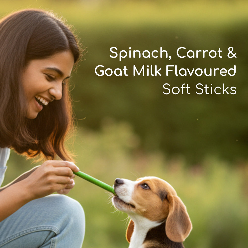 Dog Soft Sticks | Mix Flavour (Spinach, Carrot & Goat Milk) | Soft Chewy Training Treat for All Breeds