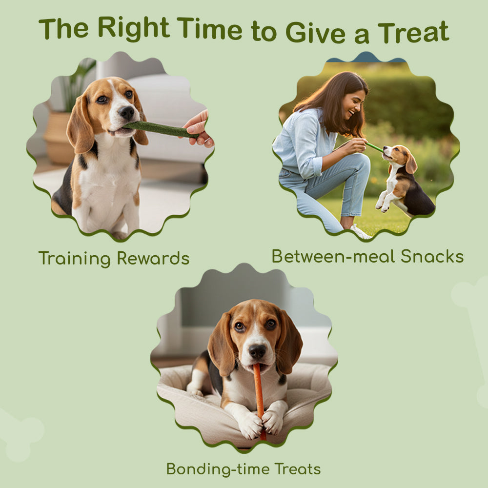 Dog Soft Sticks | Mix Flavour (Spinach, Carrot & Goat Milk) | Soft Chewy Training Treat for All Breeds