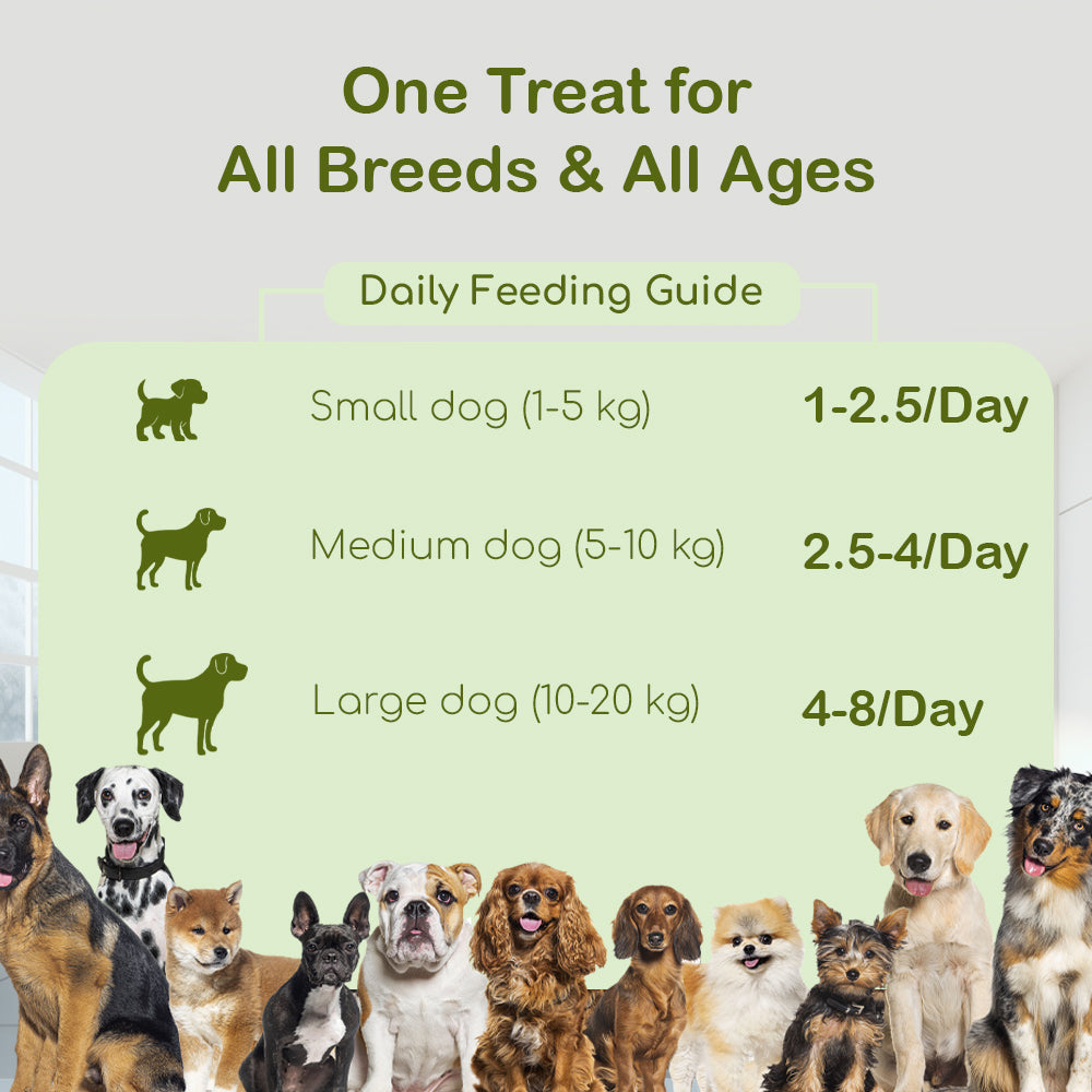 Dog Soft Sticks | Mix Flavour (Spinach, Carrot & Goat Milk) | Soft Chewy Training Treat for All Breeds