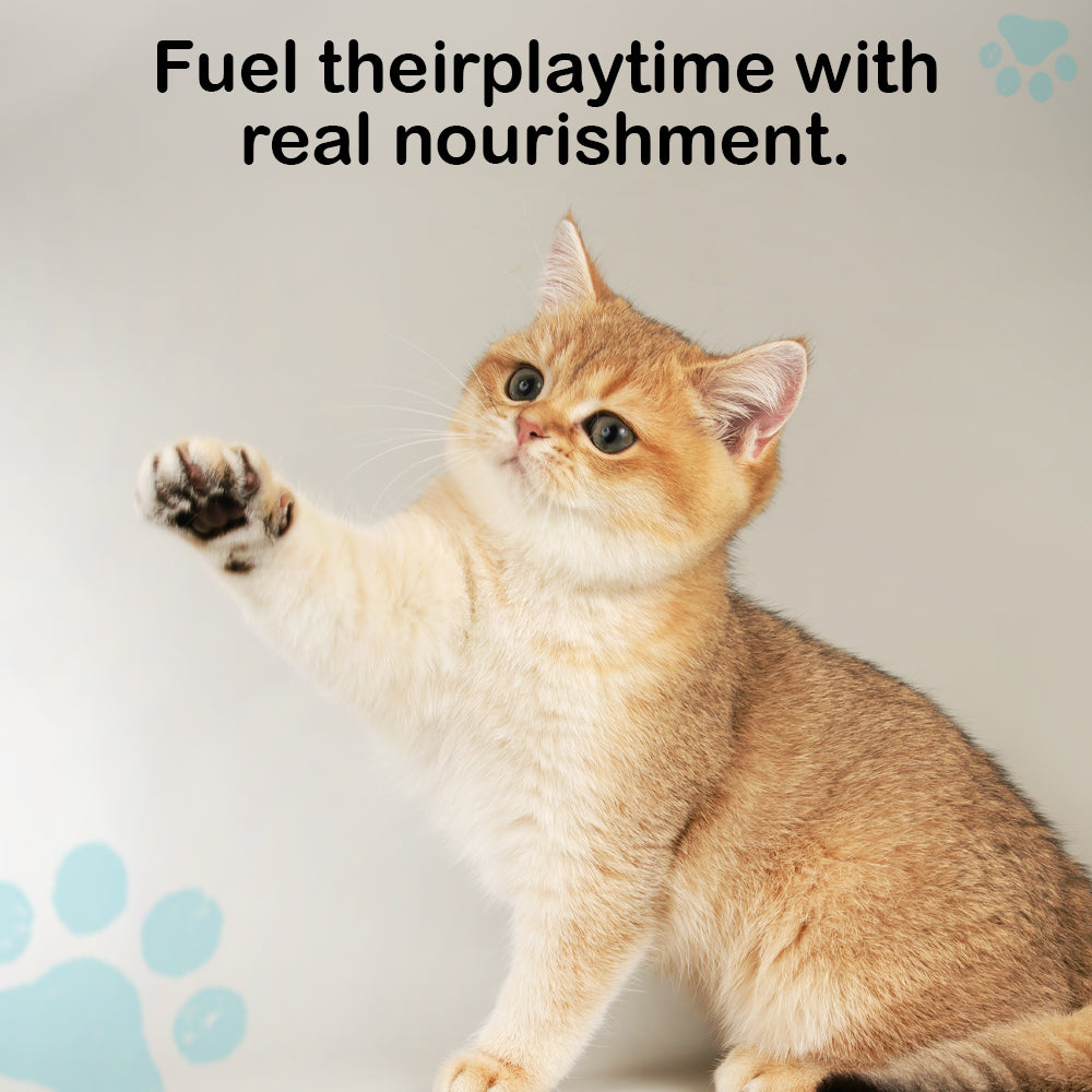 Ocean Fish Oil With Calcium Vitamins & Minerals