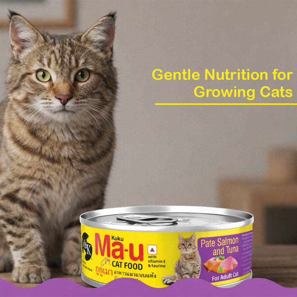 Cat Food | Pate Salmon & Tuna Tin For Adult Cat
