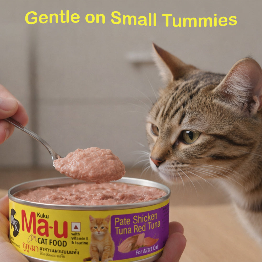 Cat Food | Pate Salmon & Tuna Tin For Adult Cat