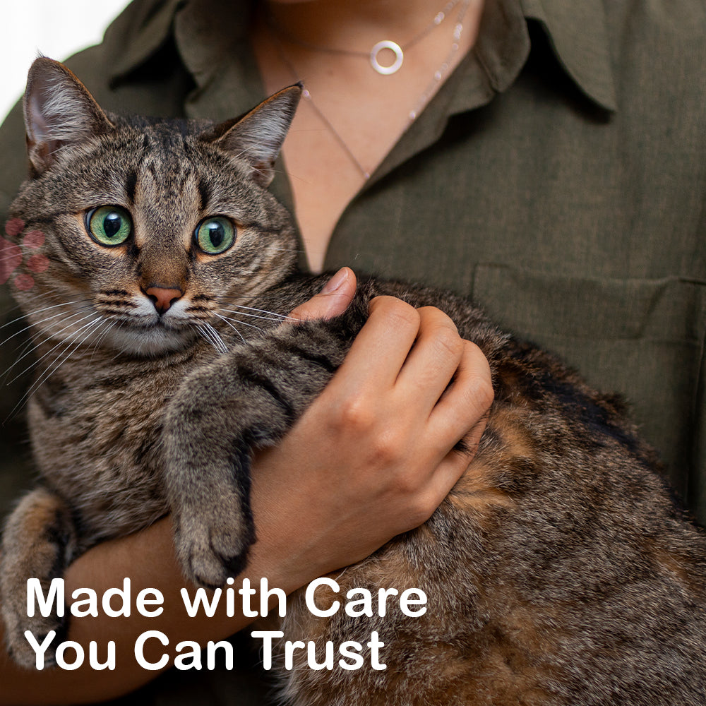 Cat Food | Pate Salmon & Tuna Tin For Adult Cat