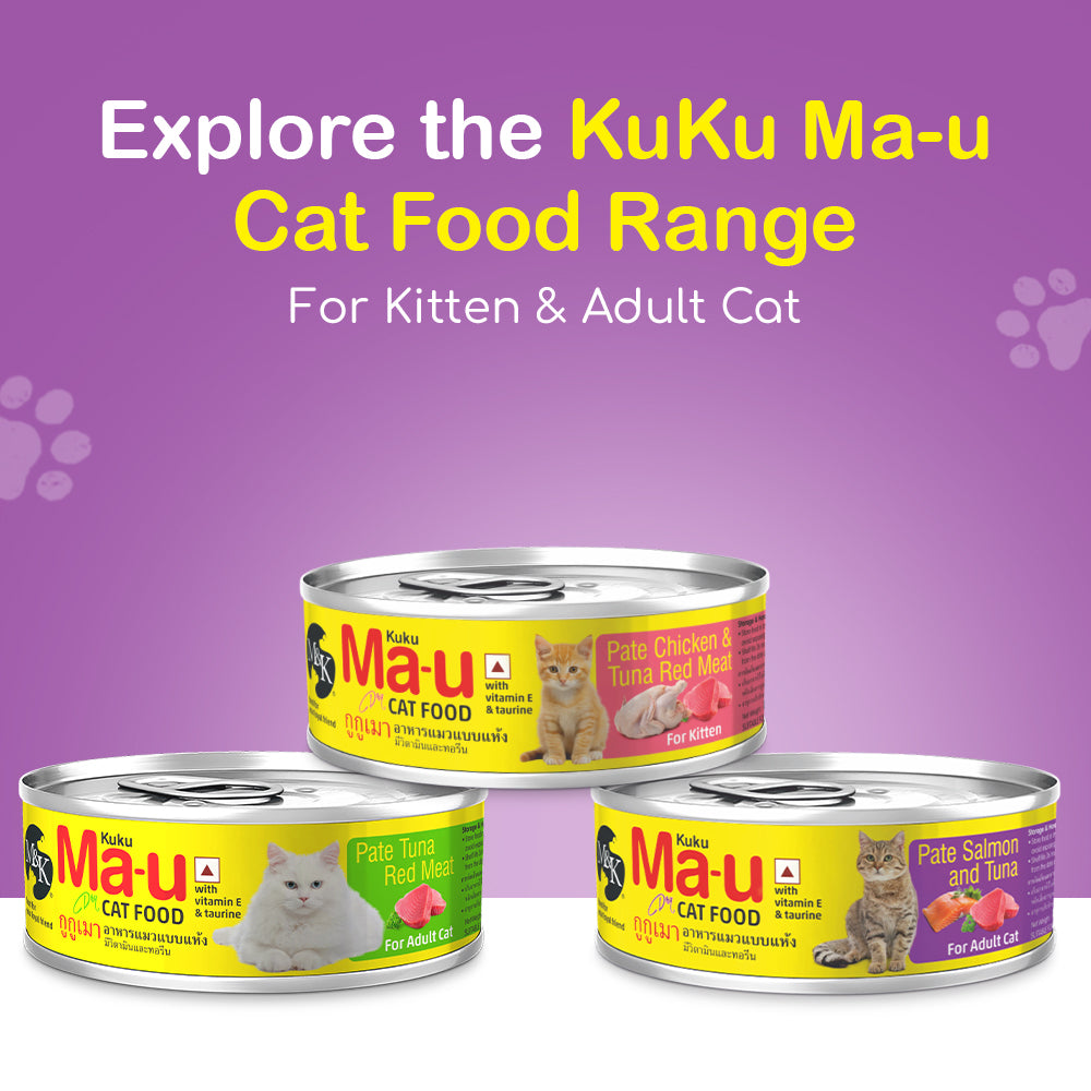 Cat Food | Pate Salmon & Tuna Tin For Adult Cat