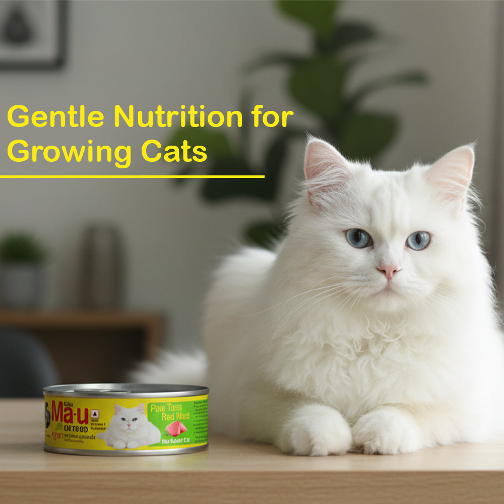 Cat Food | Pate Tuna Red Meat Tin For Adult Cat