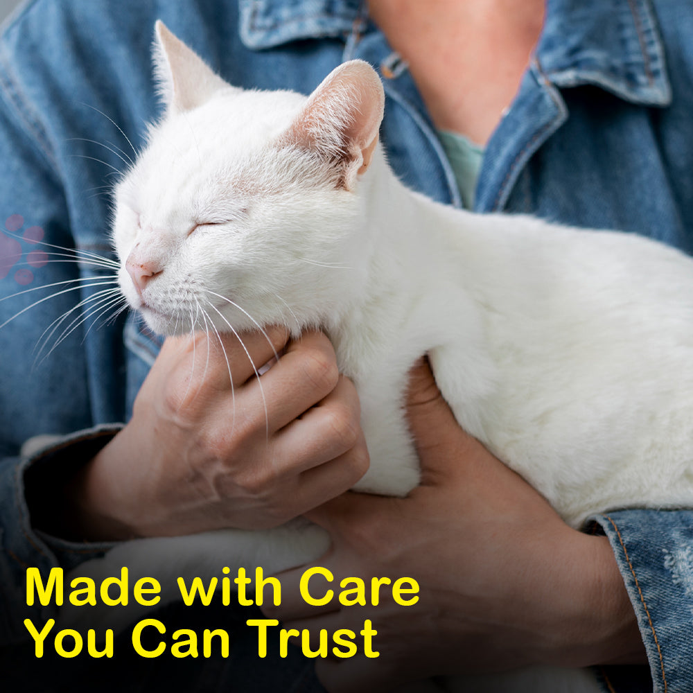 Cat Food | Pate Tuna Red Meat Tin For Adult Cat