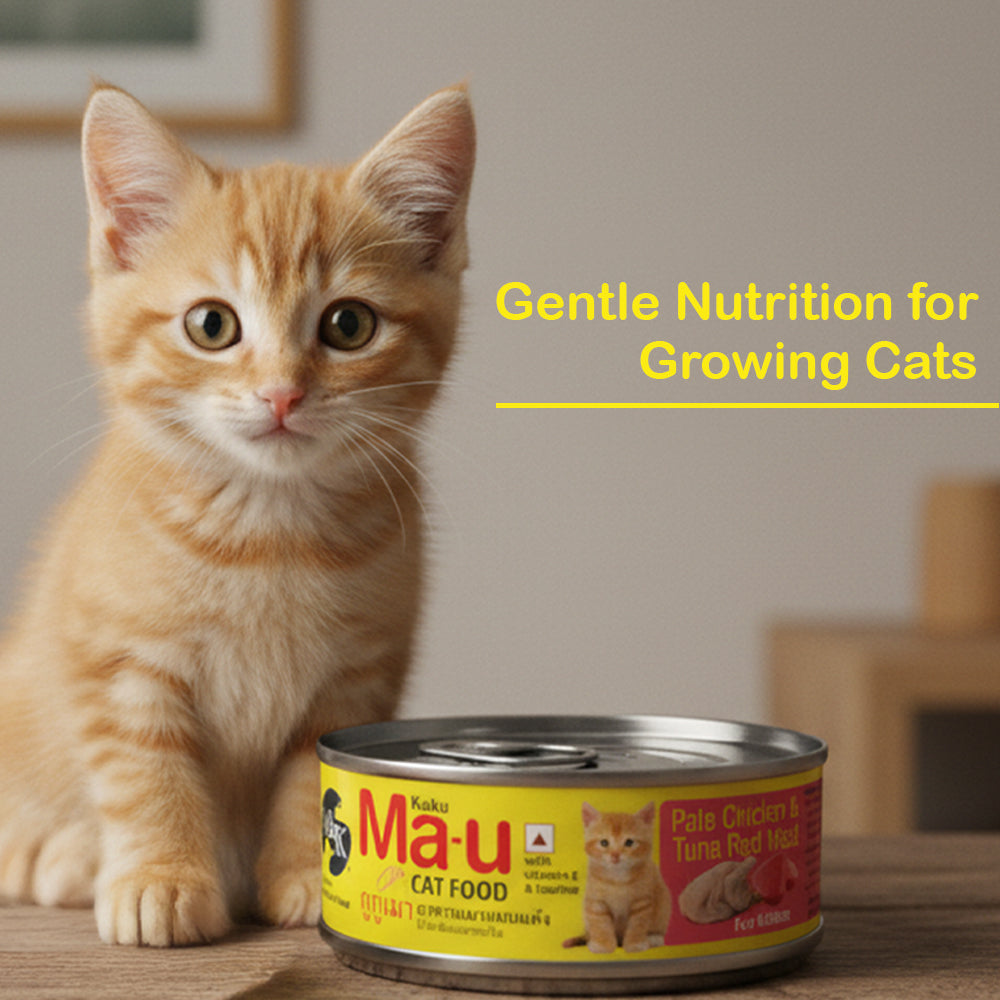 Wet Cat Food for Kittens (6–12 Months) | Chicken & Tuna Red Meat | Growth & Hydration Support | Pack of 12 & 24
