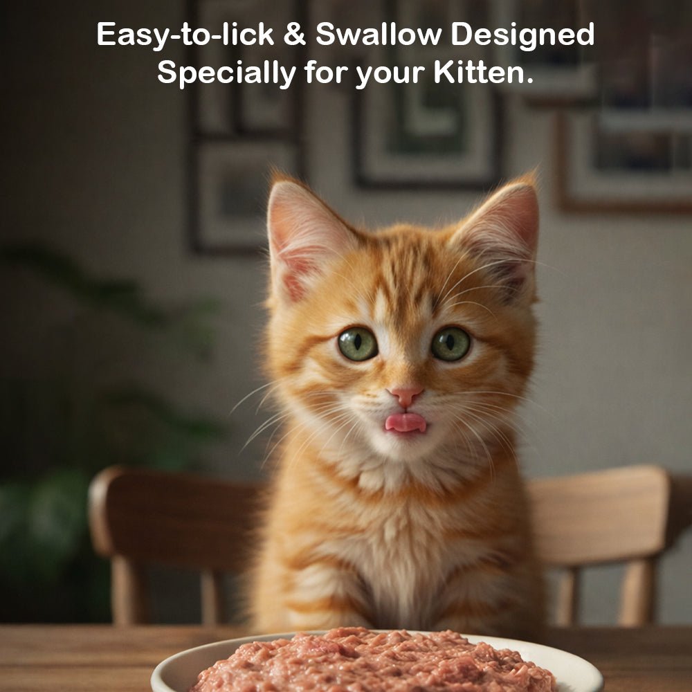 Wet Cat Food for Kittens (6–12 Months) | Chicken & Tuna Red Meat | Growth & Hydration Support | Pack of 12 & 24