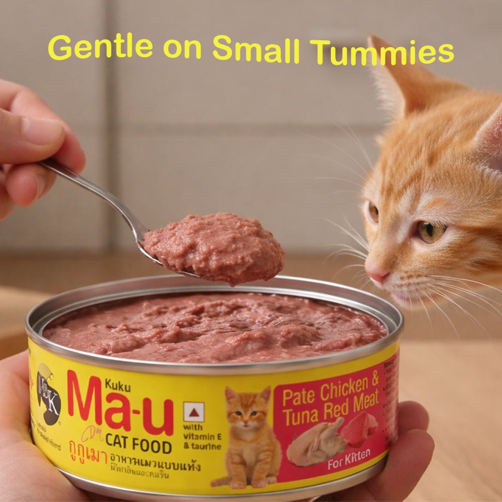 Wet Cat Food for Kittens (6–12 Months) | Chicken & Tuna Red Meat | Growth & Hydration Support | Pack of 12 & 24