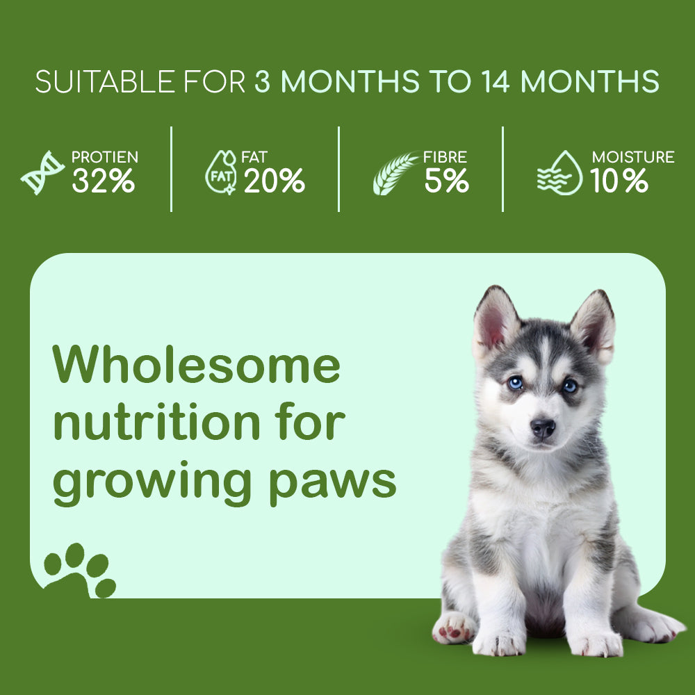 Dry Dog Food  - Puppy (3-14 months) | Chicken Kibbles for Puppies