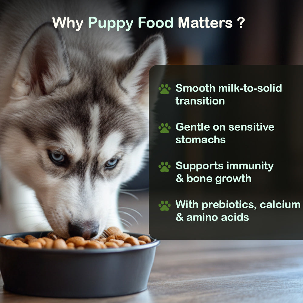 Dry Dog Food  - Puppy (3-14 months) | Chicken Kibbles for Puppies